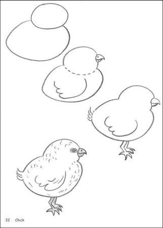 Поэтапное рисование цыпленка для детей