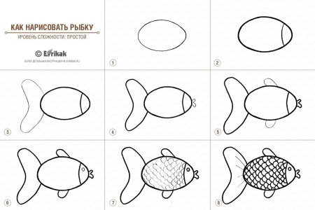 Этапы рисования рыбки