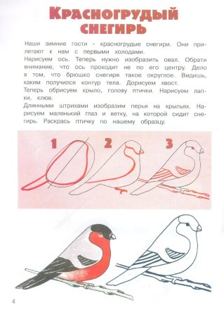 Схема рисования птицы
