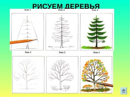 Поэтапное рисование дерева для детей