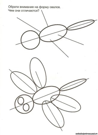 Поэтапное рисование Стрекозы