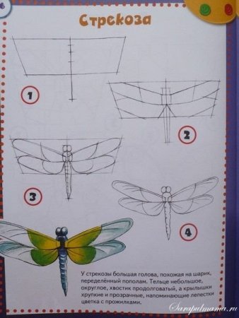 Схема рисования Стрекозы для детей