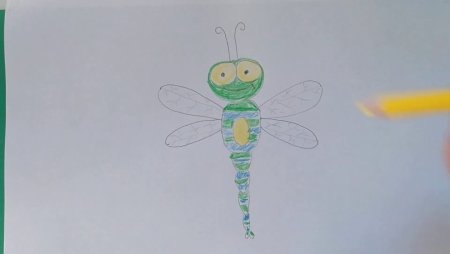 Рисунки насекомых для детей простые