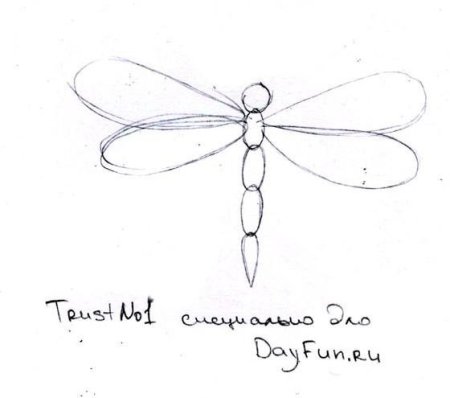 Стрекоза раскраска для детей