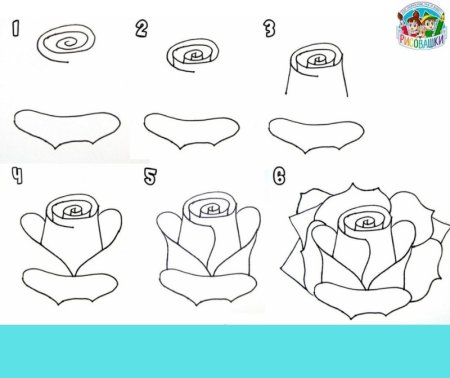 Нарисовать розу поэтапно