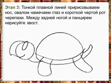 Рисуем черепаху 2 класс