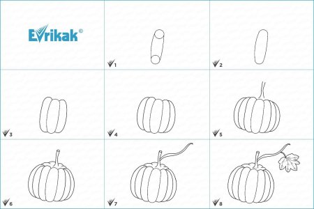 Поэтапное рисование тыквы для детей