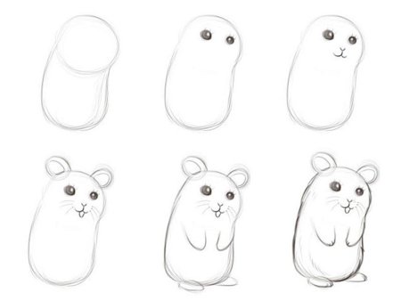 Поэтапное рисование хомяка