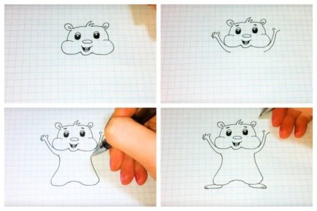 Поэтапное рисование хомяка