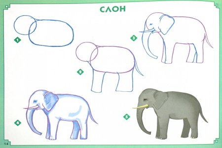 Поэтапное рисование слона