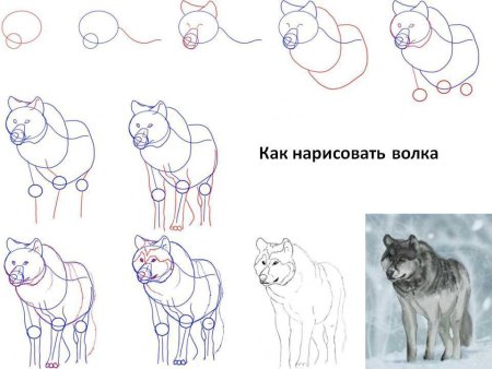 Схема рисования кошки