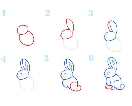 Схемы рисования животных