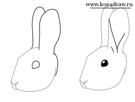 Поэтапное рисование кролика карандашом