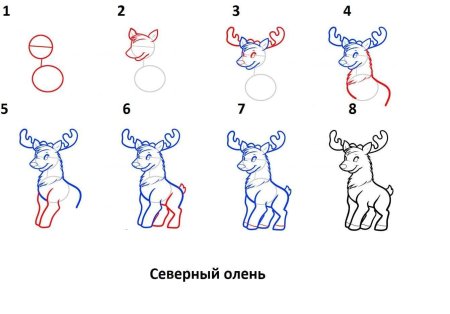 Олень рисунок поэтапно