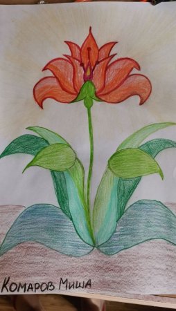 Аленький цветочек рисунок легко