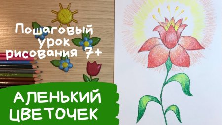 Рисунки для срисовки цветы легкие