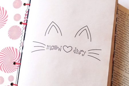 Как нарисовать сову карандашом поэтапно