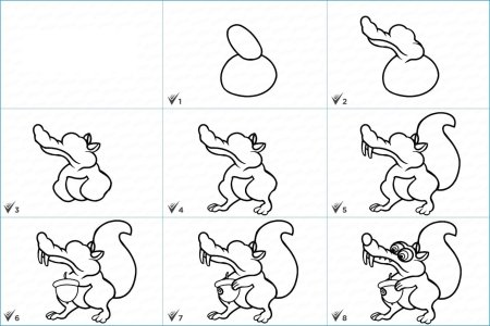 Белка сбоку рисунок