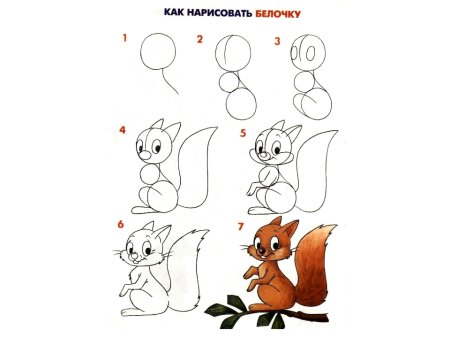 Поэтапное рисование белка для дошкольников