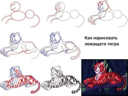 Поэтапное рисование тигра