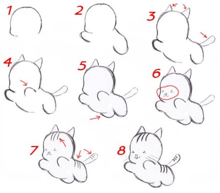 Поэтапное рисование кошки для детей