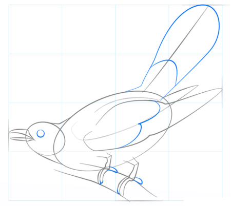 Кукушка рисунок легкий