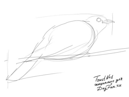 Кукушка рисунок поэтапно