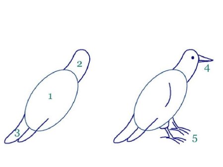 Поэтапное рисование Грача для детей