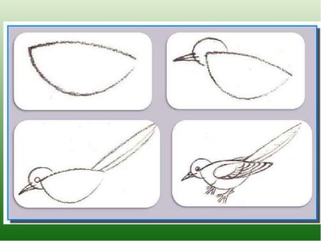 Кукушка рисунок карандашом