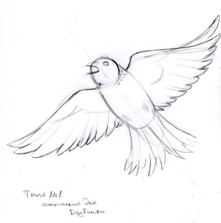 Рисунки кукушки музыкальные