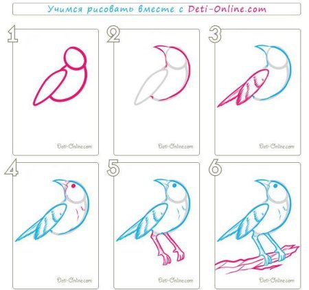 Снегирь рисунок пошагово