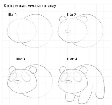 Как нарисовать панду поэтапно