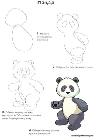 Панда рисунок карандашом