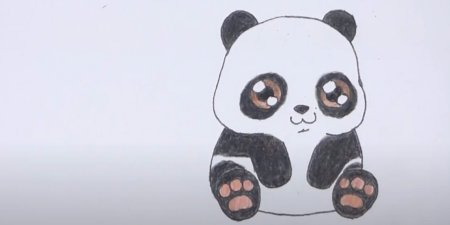 Как нарисовать коалу поэтапно