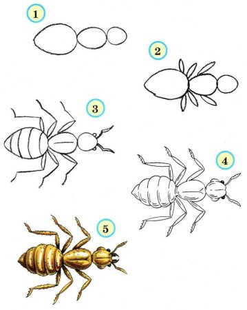 Рисование с детьми 4-5 лет