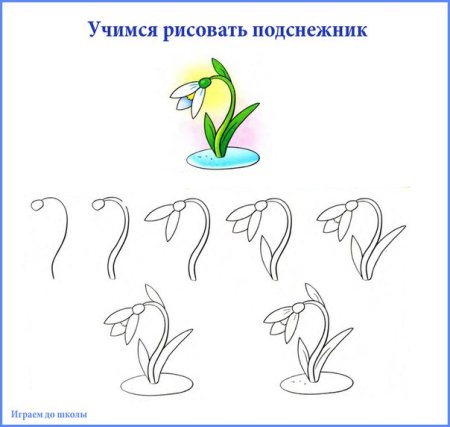 Нарисовать Подснежник пошагово для детей