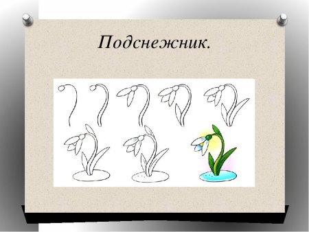 Поэтапное рисование подснежника