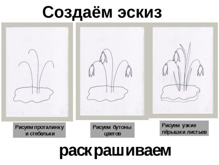 Поэтапное рисование первоцветов