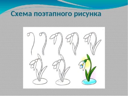 Подснежники вектор