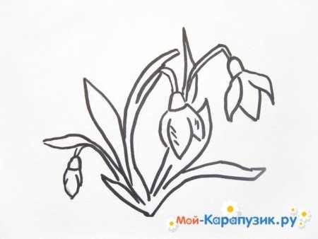Рисунок карандашом для 7 класса подснежники