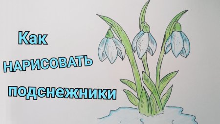 Подснежники рисунок легкий