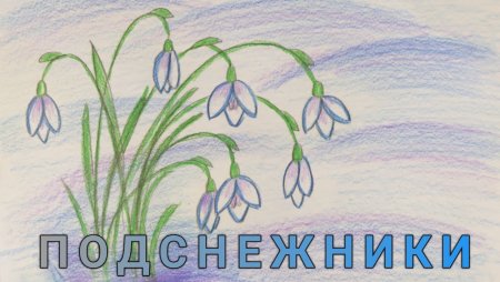 Подснежник рисунок карандашом
