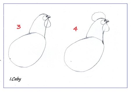 Петух рисунок для детей карандашом