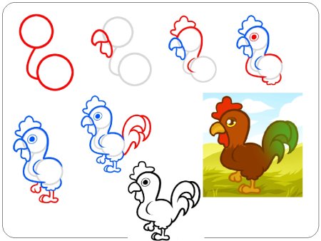 Этапы рисования петуха