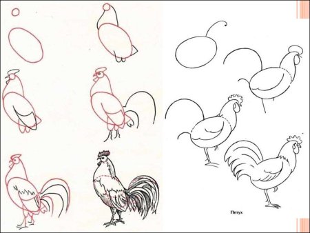 Поэтапное рисование петуха