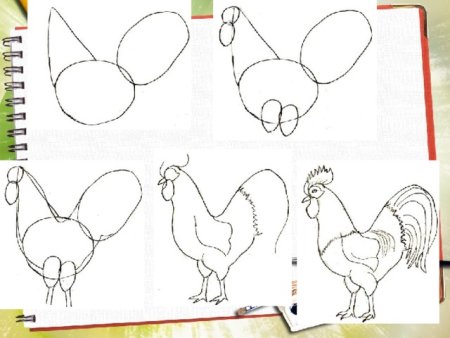 Как нарисовать петуха