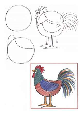 Курица поэтапное рисование