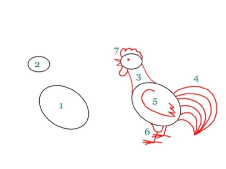 Рисование петушка для детей пошагово