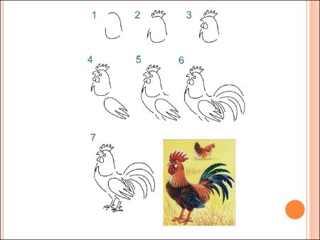 Как нарисовать петуха карандашом поэтапно для детей