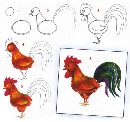 Поэтапное рисование петуха